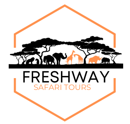 Freshway Safari Tours